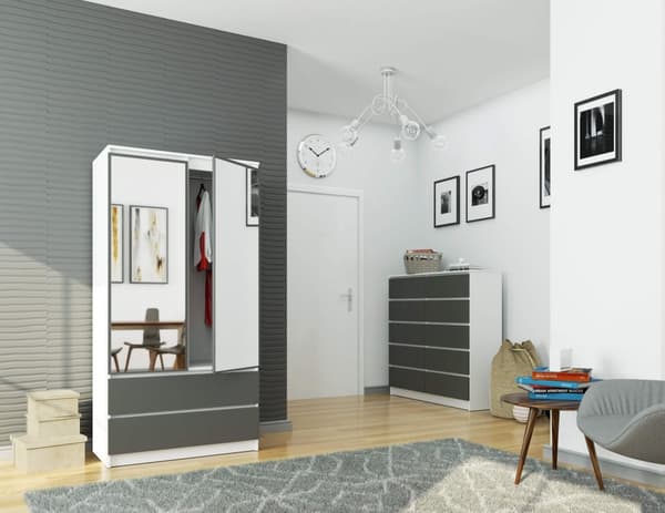 SKAB S90 2D 2SZ 2 SPEJL CLP PK HVID / GRÅ