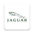 Miniatyrbilde 1 av 3: 2 ST Jaguar Coaster