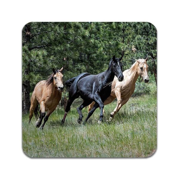 2 kpl  Animal Horse Lasinaluset
