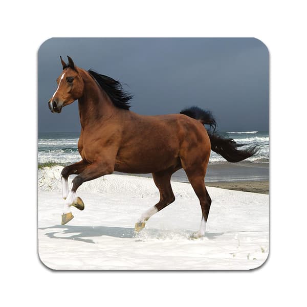 2 kpl Brown Horses Lasinaluset