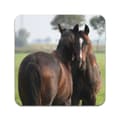 Pikkukuva 1 / 3: 2 kpl  Brown Horses Lasinaluset