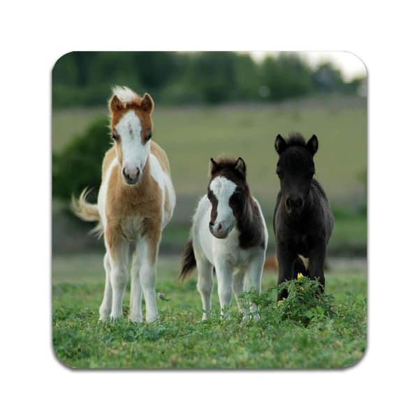 2 kpl Foal Lasinaluset