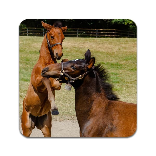2 kpl Mare and Foal Lasinaluset