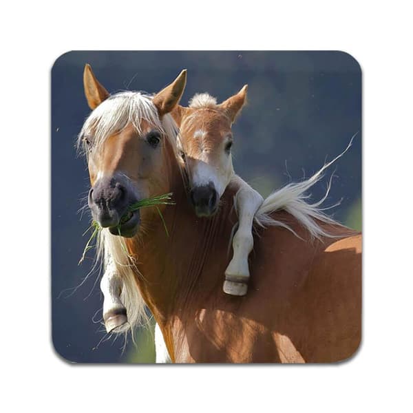 2 kpl Mare and Foal Lasinaluset