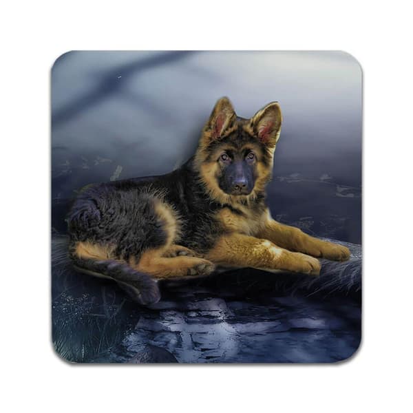 2 ST Tysk Schäferhund Valpar Underlägg