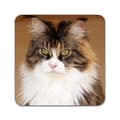 Miniatyrbilde 1 av 3: 2 ST Katt Maine Coon Coaster