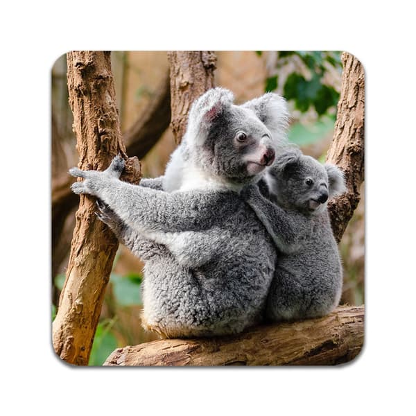 2 ST Koala Underlägg