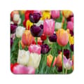 Miniatyrbild 2 av 3: 2 ST Blommor Tulpaner Underlägg