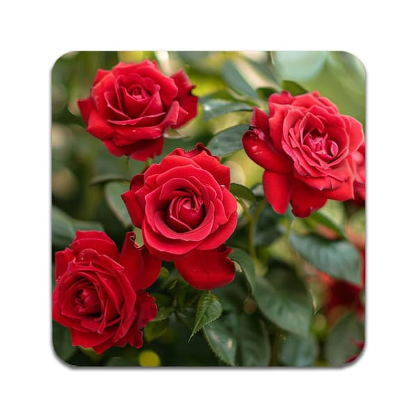 2 ST Blommor Röda Rosor Underlägg