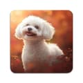 Miniatyrbild 2 av 5: 4 ST Hund Bichon Frise Underlägg