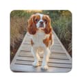Miniatyrbild 4 av 5: 4 ST Hund Cavalier King Charles Spaniel Underlägg