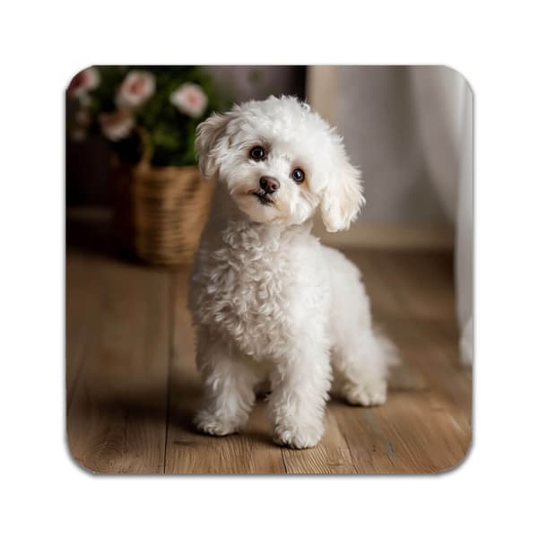 4 ST Hund Pudel Underlägg