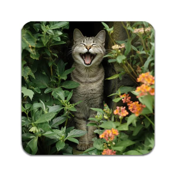 4 ST Leende katt Coaster