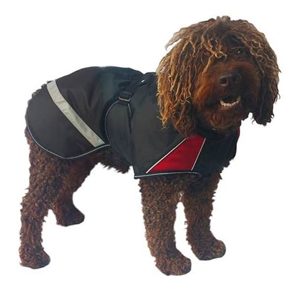 Manteau +Rue Breathe Comfort ABRIGO GATA 65 CM