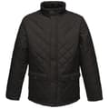 Miniatyrbillede 1 af 4: Regatta Mens Tyler Quilted Jacket