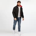 Pikkukuva 5 / 5: Regatta Dover Waterproof Windproof Jacket (Thermo-Guard Insulation)