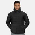 Pikkukuva 4 / 5: Regatta Mens Honestly Made Recycled Thermal Padded Jacket
