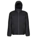 Pikkukuva 1 / 5: Regatta Mens Honestly Made Recycled Thermal Padded Jacket