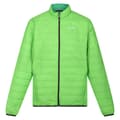 Miniatyrbilde 1 av 4: Regatta Mens Hillpack Quilted Insulated Jacket