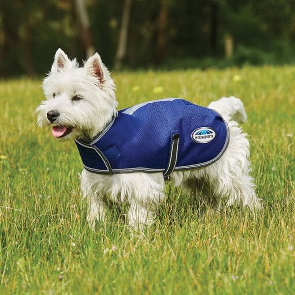 Weatherbeeta Comfitec Premier Free Midweight hundkappan för hund