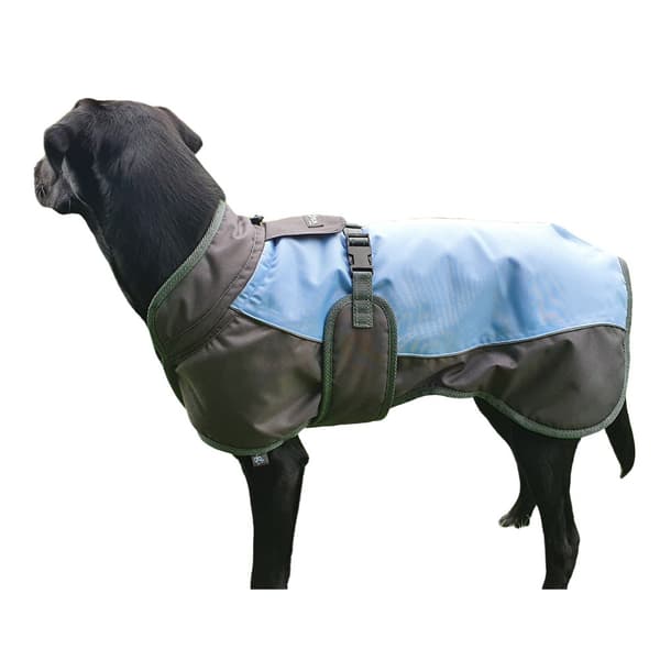 Henry Wag Waterproof Dog Coat