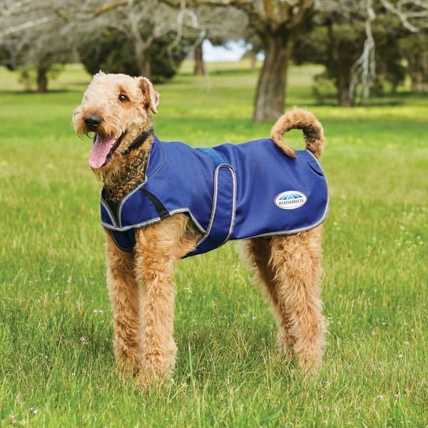 Weatherbeeta Comfitec Premier Free Duo Deluxe Parka Dog Coat