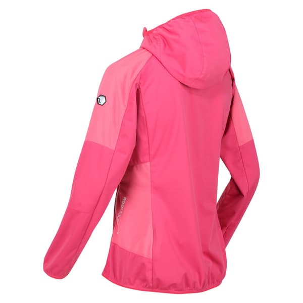 Regatta Kvinder/Damer Tarvos IV Softshell-jakke til kvinder/damer