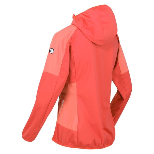 Regatta Kvinder/Damer Tarvos IV Softshell-jakke til kvinder/damer