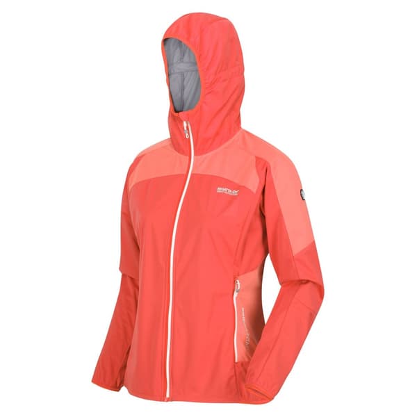 Regatta Kvinder/Damer Tarvos IV Softshell-jakke til kvinder/damer