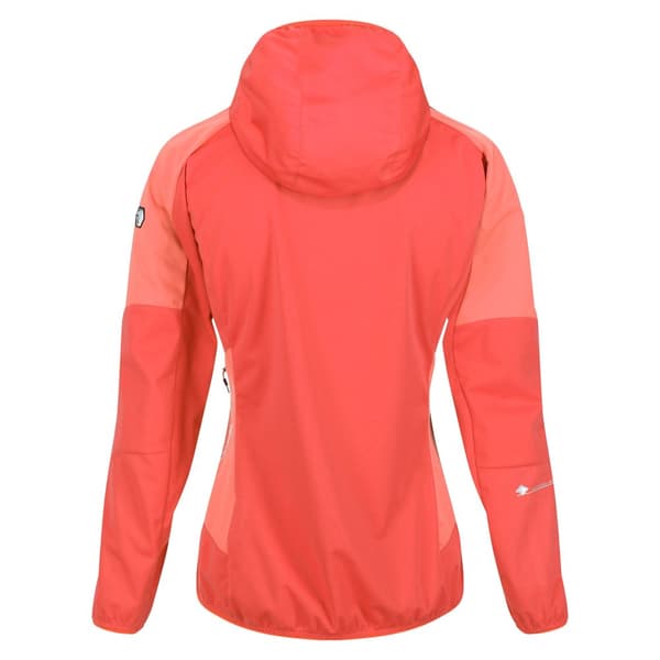 Regatta Kvinder/Damer Tarvos IV Softshell-jakke til kvinder/damer