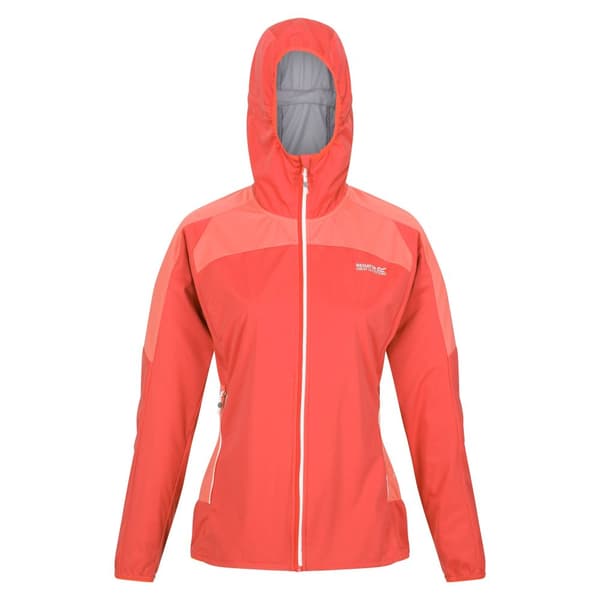 Regatta Kvinder/Damer Tarvos IV Softshell-jakke til kvinder/damer