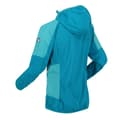 Miniatyrbilde 3 av 4: Regatta Womens/Ladies Tarvos IV Softshell Jacket
