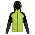 Miniatyrbilde 1 av 4: Regatta Childrens/Kids Kielder Hybrid VI Jacket