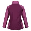 Miniatyrbilde 2 av 4: Regatta Womens/Ladies Calderdale Winter Waterproof Jacket
