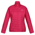 Pikkukuva 5 / 5: Regatta Womens/Ladies Wentwood VII 2 in 1 Waterproof Jacket