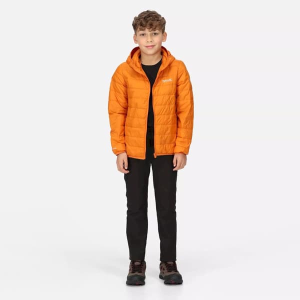 Regatta Childrens/Kids Hillpack Hooded Jacket