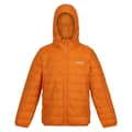 Miniatyrbilde 1 av 5: Regatta Childrens/Kids Hillpack Hooded Jacket