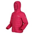 Miniatyrbilde 3 av 5: Regatta Childrens/Kids Hillpack Hooded Jacket
