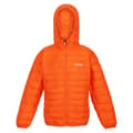Miniatyrbilde 1 av 4: Regatta Childrens/Kids Hillpack Hooded Jacket