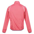 Miniatyrbilde 2 av 5: Regatta Womens/Ladies Steren Hybrid Jacket
