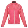 Miniatyrbilde 1 av 5: Regatta Womens/Ladies Steren Hybrid Jacket