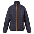 Miniatyrbillede 3 af 5: Regatta Womens/Ladies Wentwood VIII 2 in 1 Jacket