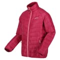 Miniatyrbillede 4 af 5: Regatta Womens/Ladies Wentwood VIII 2 in 1 Jacket