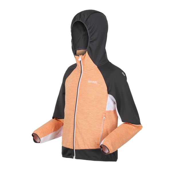 Regatta Childrens/Kids Prenton II Hooded Soft Shell Jacket