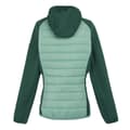 Miniatyrbilde 2 av 4: Regatta Womens/Ladies Andreson VIII Hybrid Jacket