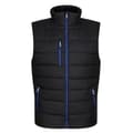 Miniatyrbilde 1 av 4: Regatta Mens Navigate Thermal Body Warmer
