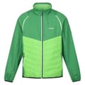 Miniatyrbilde 1 av 5: Regatta Mens Steren Hybrid Soft Shell Jacket