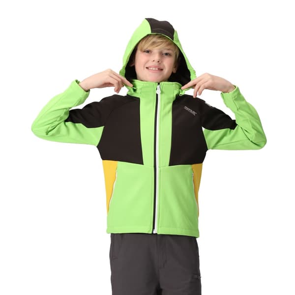 Regatta Haydenbury Soft Shell-jacka för barn/unga