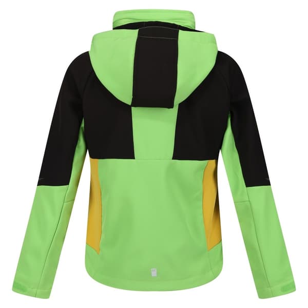 Regatta Haydenbury Soft Shell-jacka för barn/unga