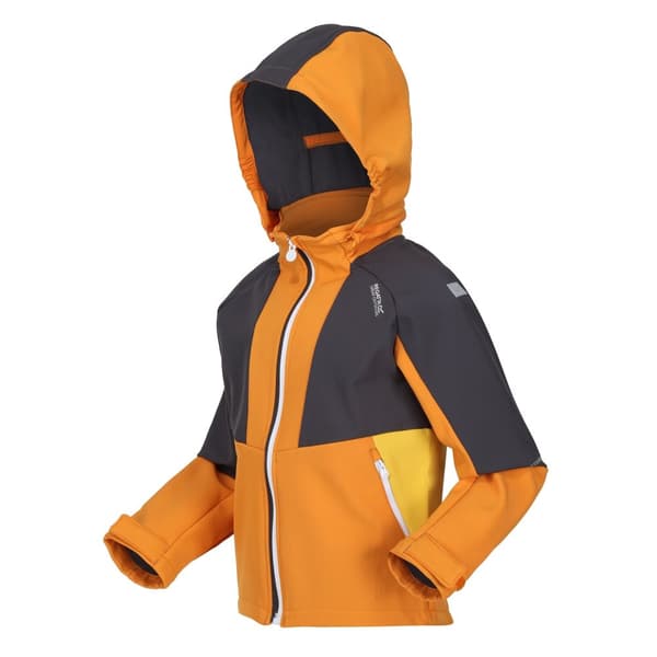 Regatta Haydenbury Soft Shell-jacka för barn/unga